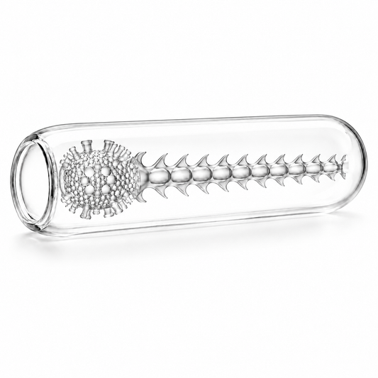Erojoy Minx Pro sleeve, clear cutaway showing its nodule and rib texture